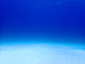 スーパーブルーな海へ！！！！