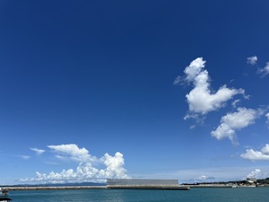 お知らせ(*^^*)