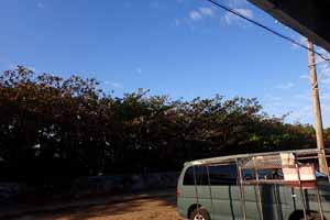 大掃除ラストデイ🎄