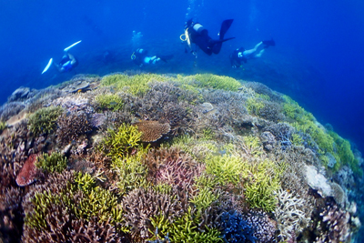 冬のお仕事🖊💻