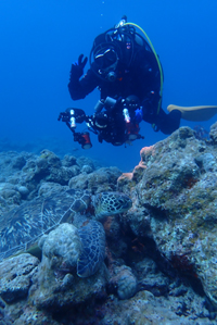 名蔵ドリフト🚙