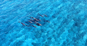 優雅なクルーズツアー！