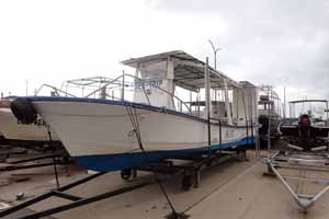 素敵な贈り物📦