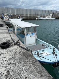 明日から通常運転です👍