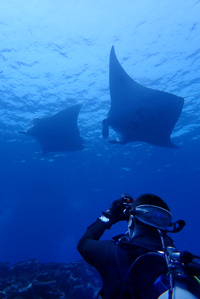 いよいよ念願の！？