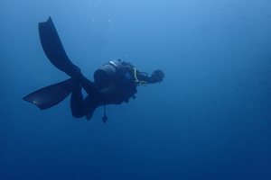 攻めのワイド！！！