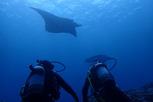 ナイスな位置取り👍