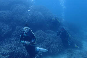 サンゴを満喫♬