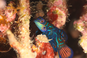 スタッフの休日～♪