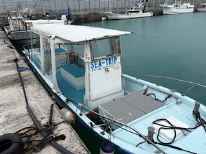 今日も色々と(^◇^;)