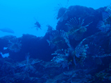 20130420a.jpg